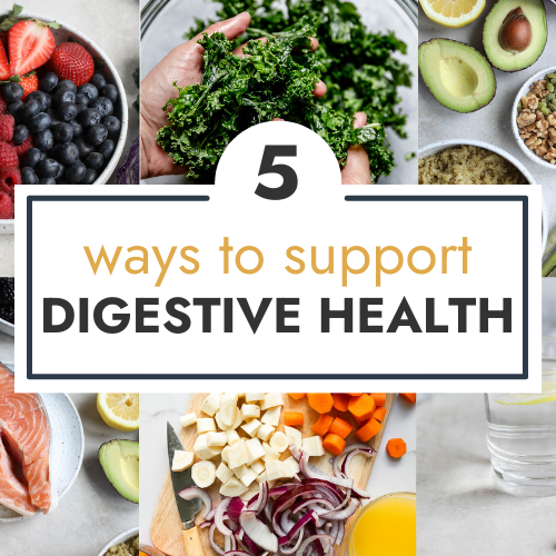 https://therealfooddietitians.com/wp-content/uploads/2016/03/FINAL-5-Ways-to-Support-Digestive-Health-HEADER-750-%C3%97-500-px-500x500.png