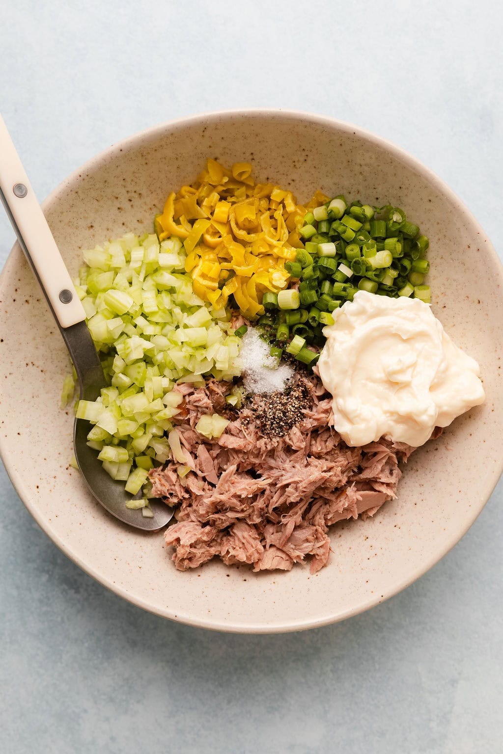 Overhead view of a bowl of Tuna Salad ingredients in sections ready to be stirred.
