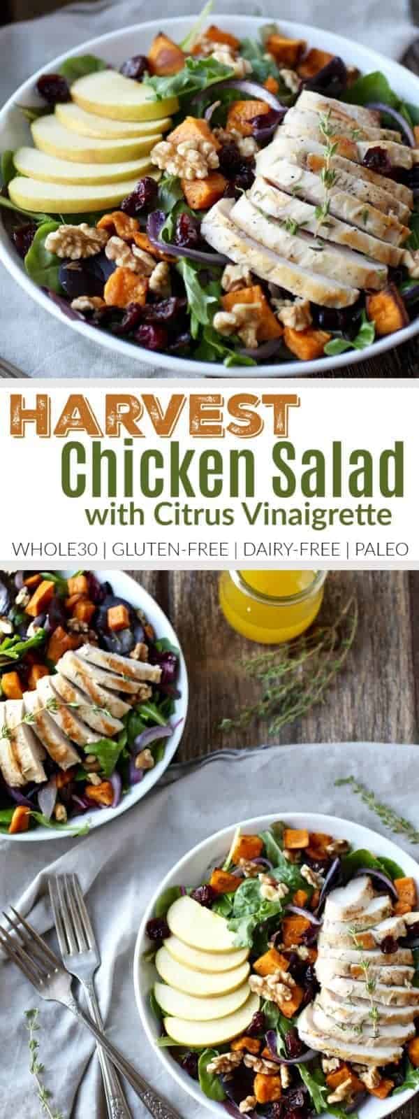 Whole30 Harvest Chicken Salad with Citrus Vinaigrette