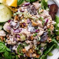 The Best Waldorf Chicken Salad