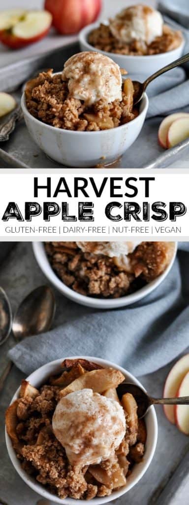 Gluten-free Harvest Apple Crisp - The Real Food Dietitians