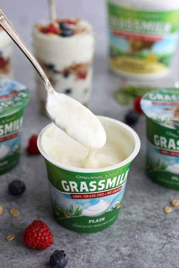 spoon of organic valley grassmilk plain yogurt 