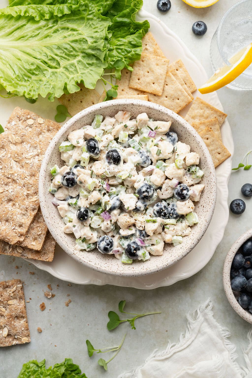 Overhead view of a bowl of Blueberry Chicken Salad surrounded by crackers.
