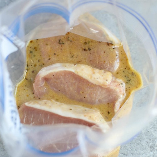 Italian Red Wine and Herb Marinade. One of the 5 pork marinades in a zip-top bag.