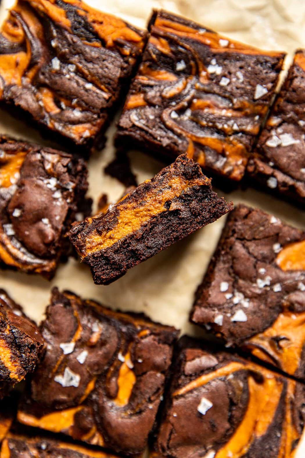 Side view of a profile of a Pumpkin Brownies showing the different layers. 