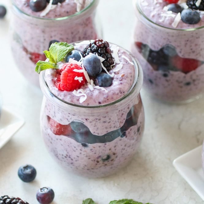 Mixed Berry Protein Chia Pudding - The Real Food Dietitians