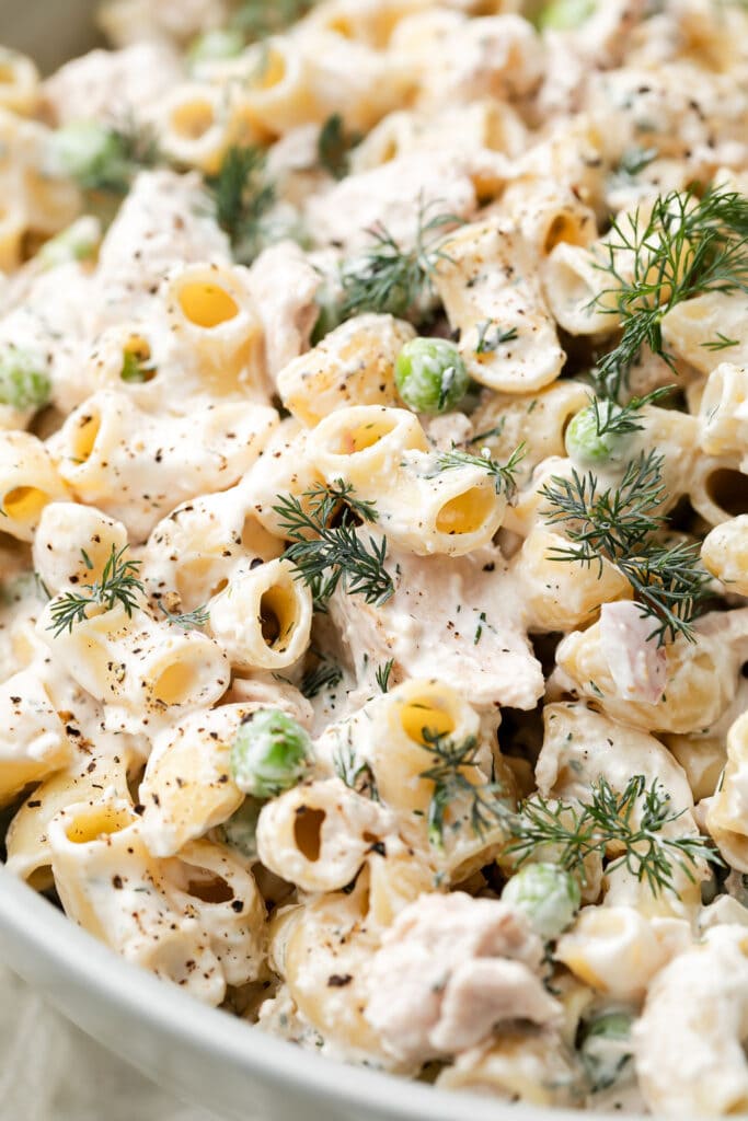 Close up view tuna noodle salad coated in creamy sauce with fresh dill sprinkled on top