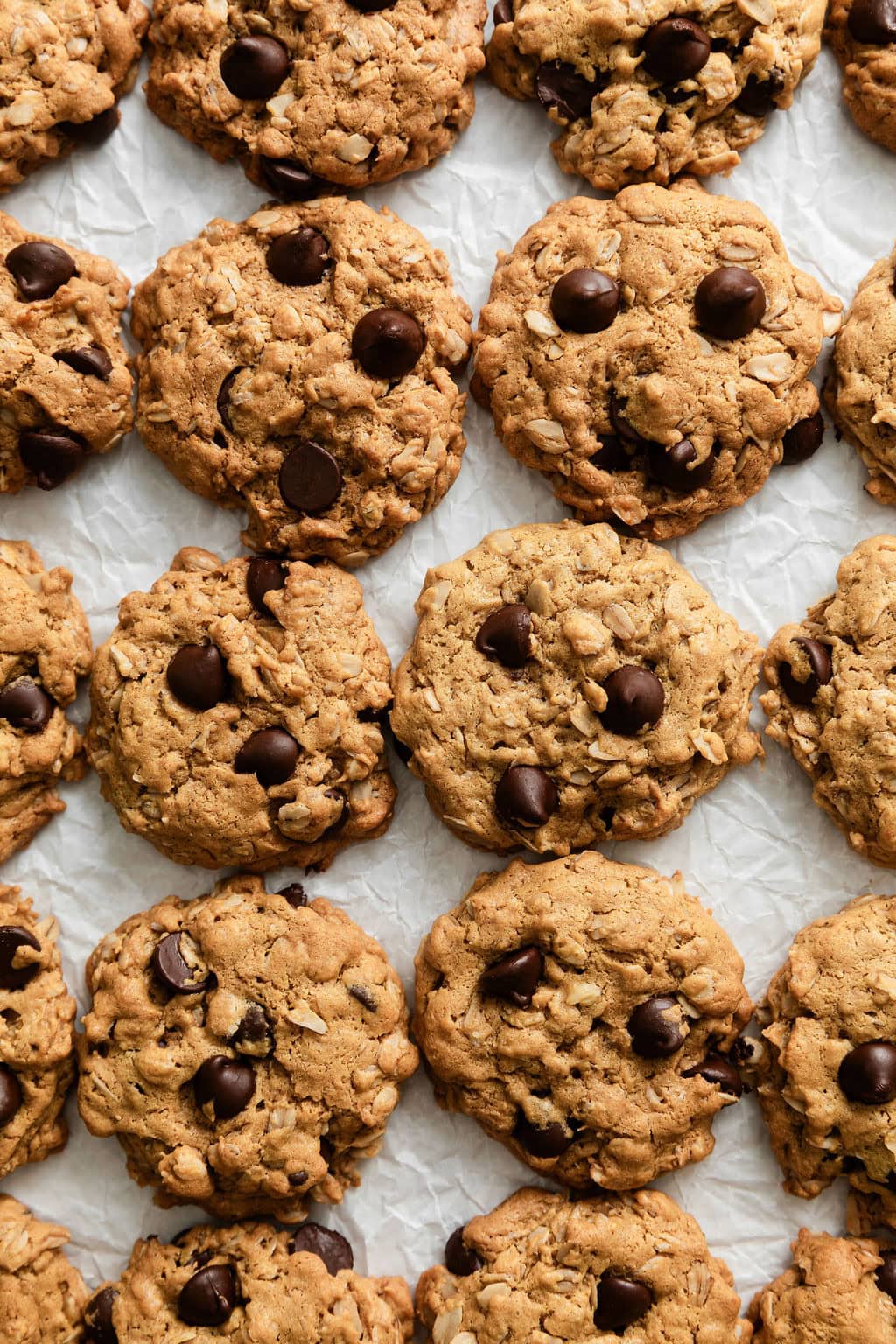 Overhead view of rows of freshly baked Peanut Butter Oatmeal Cookies studded with Chocolate Chips. 