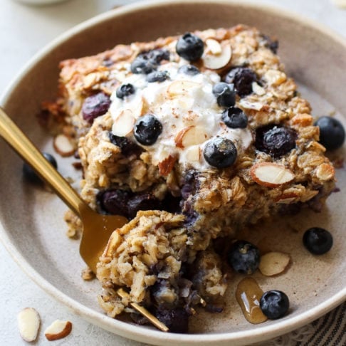 blueberry therealfooddietitians