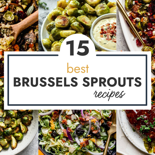https://therealfooddietitians.com/wp-content/uploads/2021/10/15-Best-Brussels-Sprouts-Recipes-HEADER-500x500.png