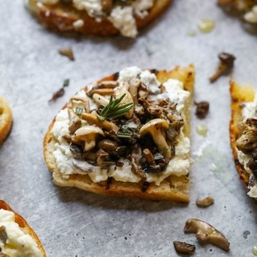 Sourdough halves toasted and topped with burrata, sauteed mushrooms, and a sprig of rosemary