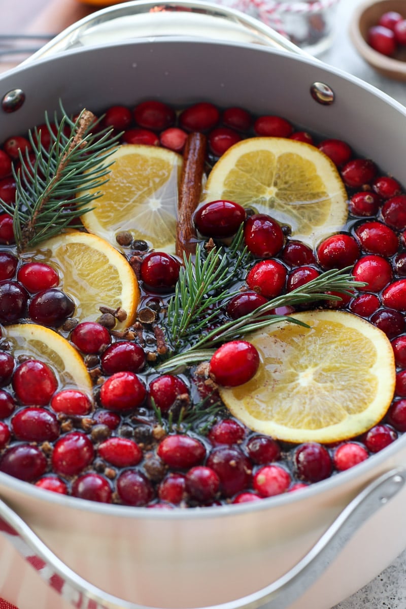 Close up view Christmas simmer pot ingredients, fresh cranberries, orange slices, pine sprigs, and cinnamon sticks.