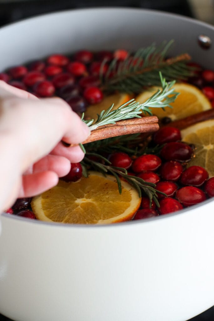 A hand placing a cinnamon stick and fresh rosemary sprig into a pot filled with water, cranberries, and orange slices