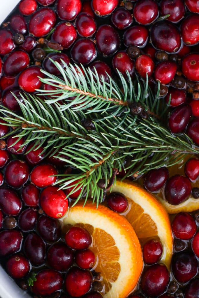 Close up view pine sprig floating in water with fresh cranberries and orange slices around.