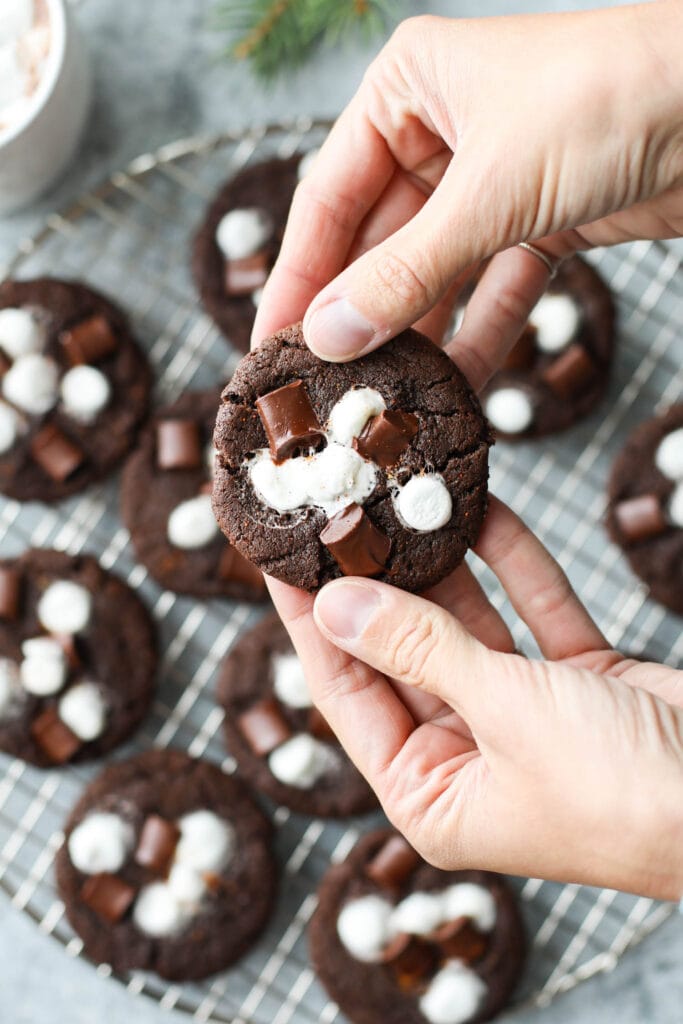 Two hands holding a Mexican hot chocolate cookie topped with melted marshmallow and melty chocolate chunks.