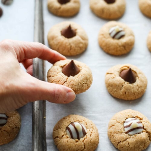 A peanut butter blossom cookie with chocolate kiss in middle being lifted from baking sheet.