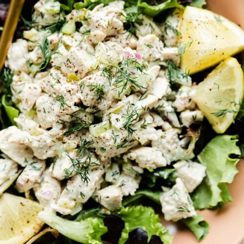 Close up view dill pickle chicken salad served over mixed greens in a pink bowl