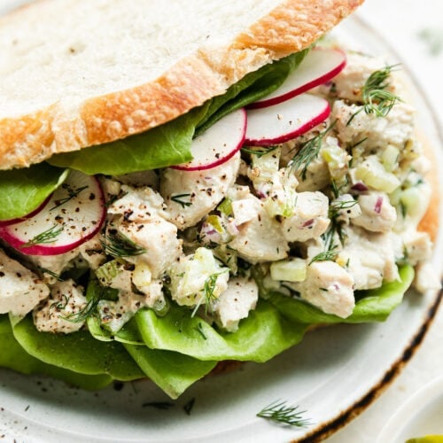 Dill pickle chicken salad in a sandwich with lettuce and sliced radishes