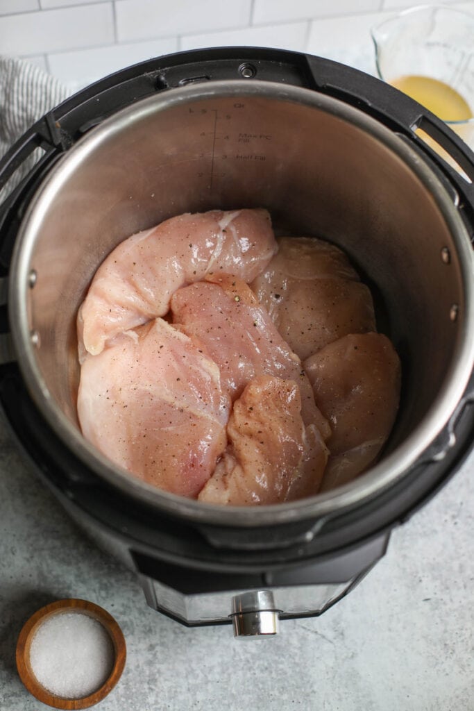 Seasoned chicken breast in the Instant Pot, about to be pressure cooked.