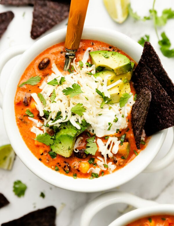 https://therealfooddietitians.com/wp-content/uploads/2023/09/Instant-Pot-Taco-Soup-new-6-600x780.jpg