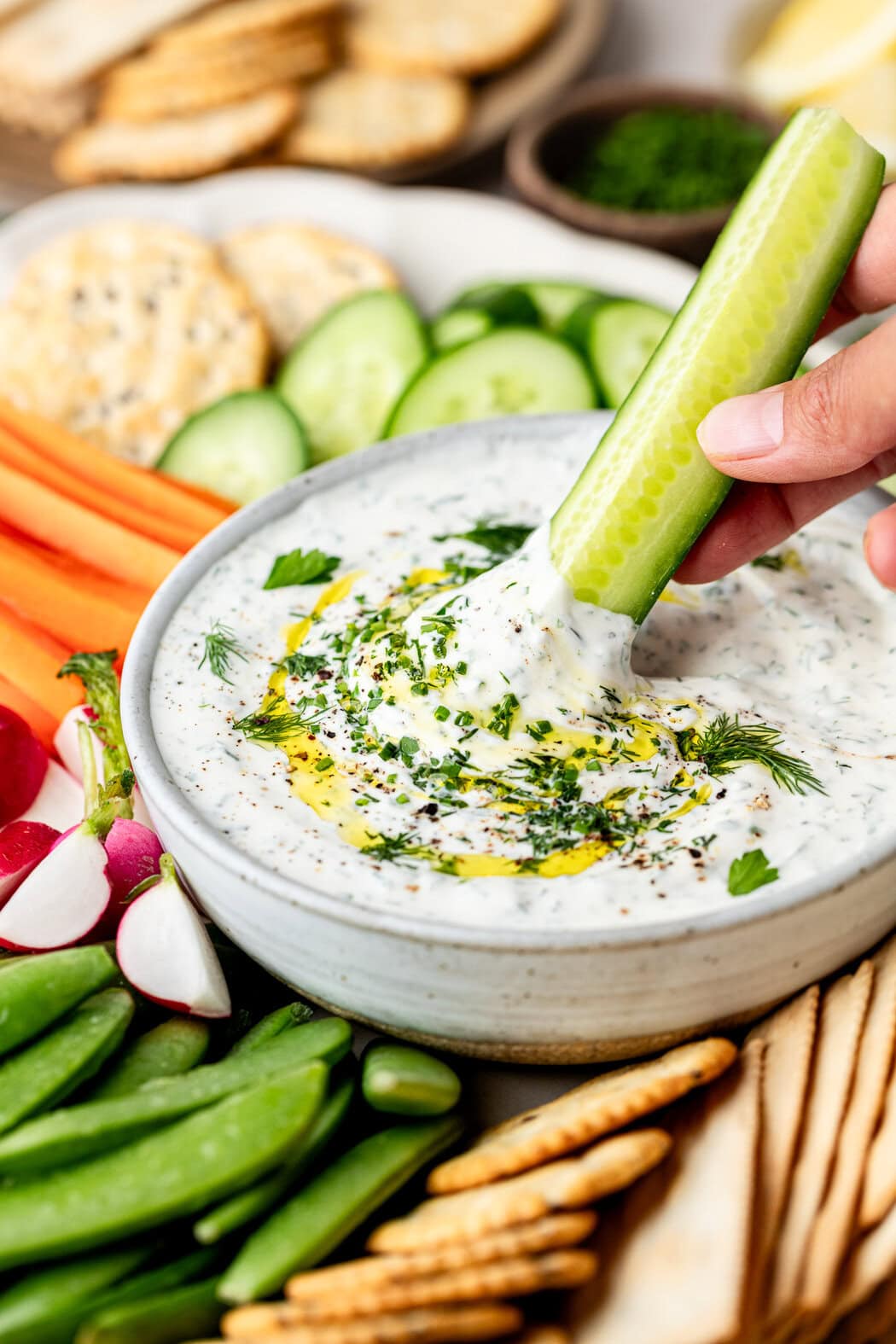 Close up view of a hand dipping a cucumber into a bowl of whipped cottage cheese dip topped with fresh dill and olive oil.