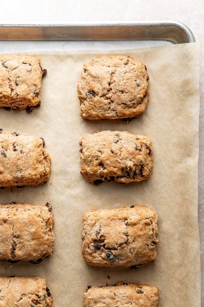 Overhead view of a sheet pan lined with parchment paper filled with golden brown cinnamon raisin biscuits. 