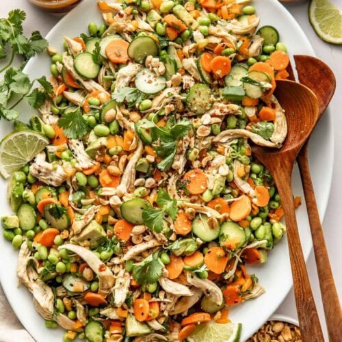 Overhead view of a white serving dish filled with a fresh and colorful Thai Chicken salad topped with fresh cilantro and chopped peanuts.