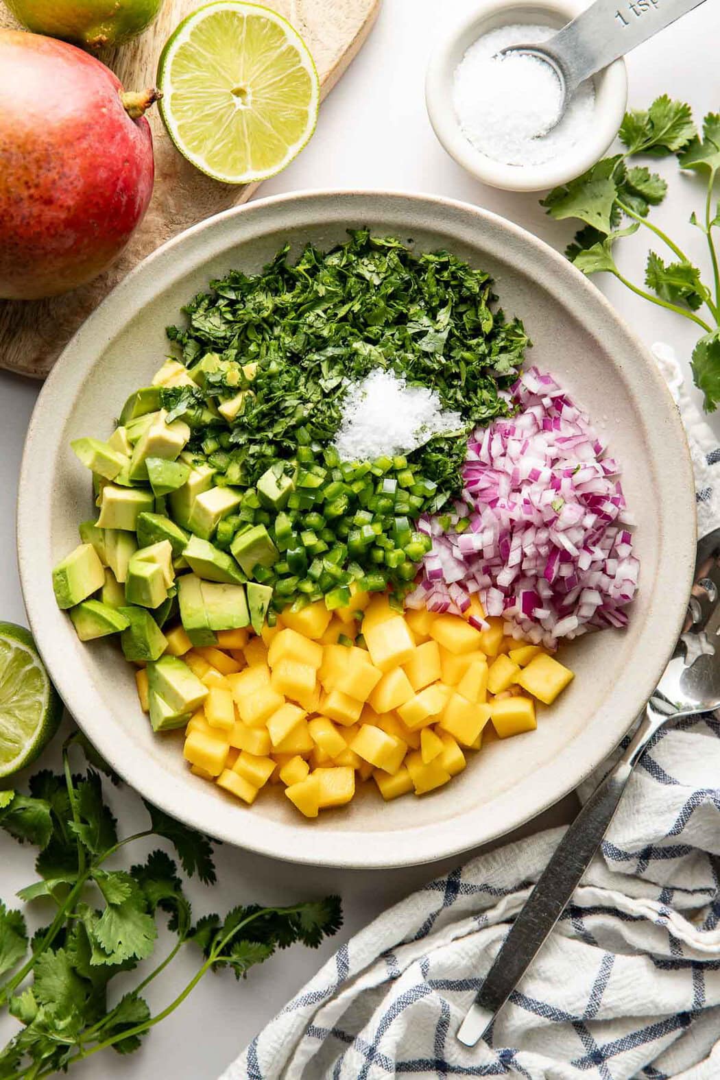 Overhead view of a bowl filled with mango salsa ingredients arranged in sections.