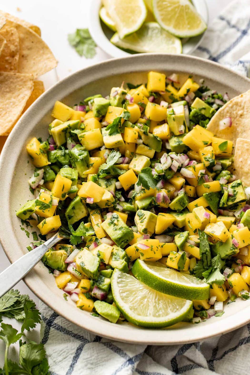 Close up view of a bowl of fresh Mango Salsa with corn tortilla chips stuck into the side.
