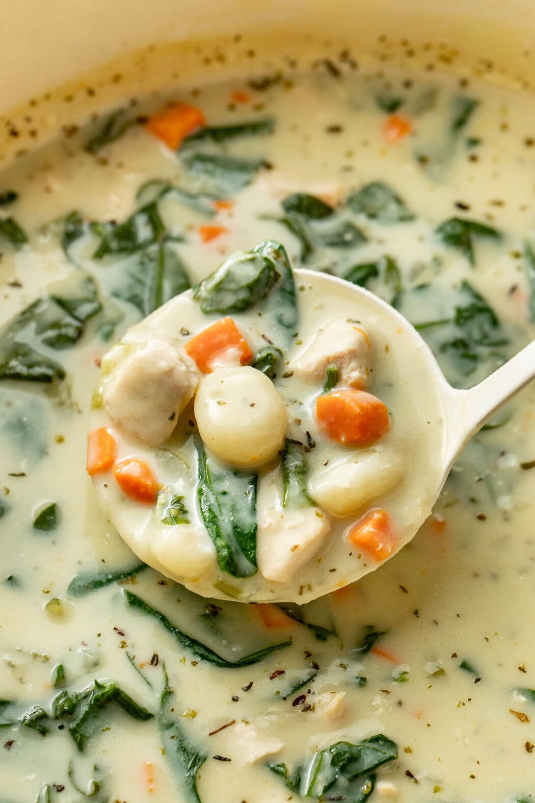 A ladle lifting a scoop of creamy chicken gnocchi soup from a pot.